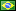 brazilian portuguese